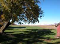 Rizzo - Babcock House 10-27-10 001