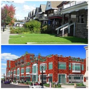 Elmwood-Forest DNA v Mutant 2