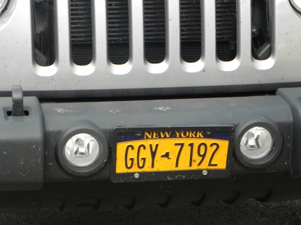 Wayland - Judge Parking Only - Front Plate