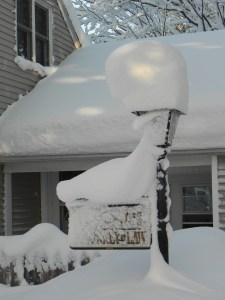 An apt symbol of my legal career 11-19-2014