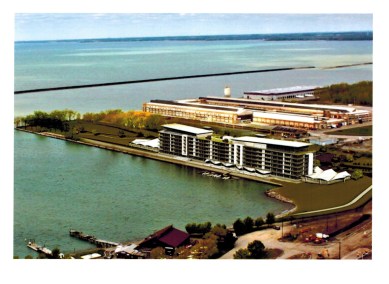 Buchheit's 2015 plans