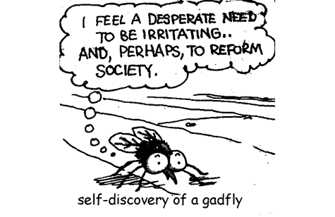 Gadfly - self-discovery cartoon