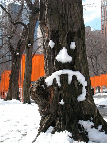 The Gates - Central Park 02-2005 085