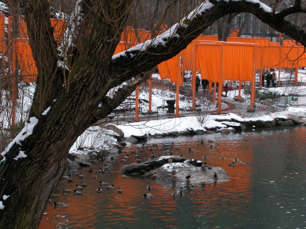 The Gates - Central Park 02-2005 031