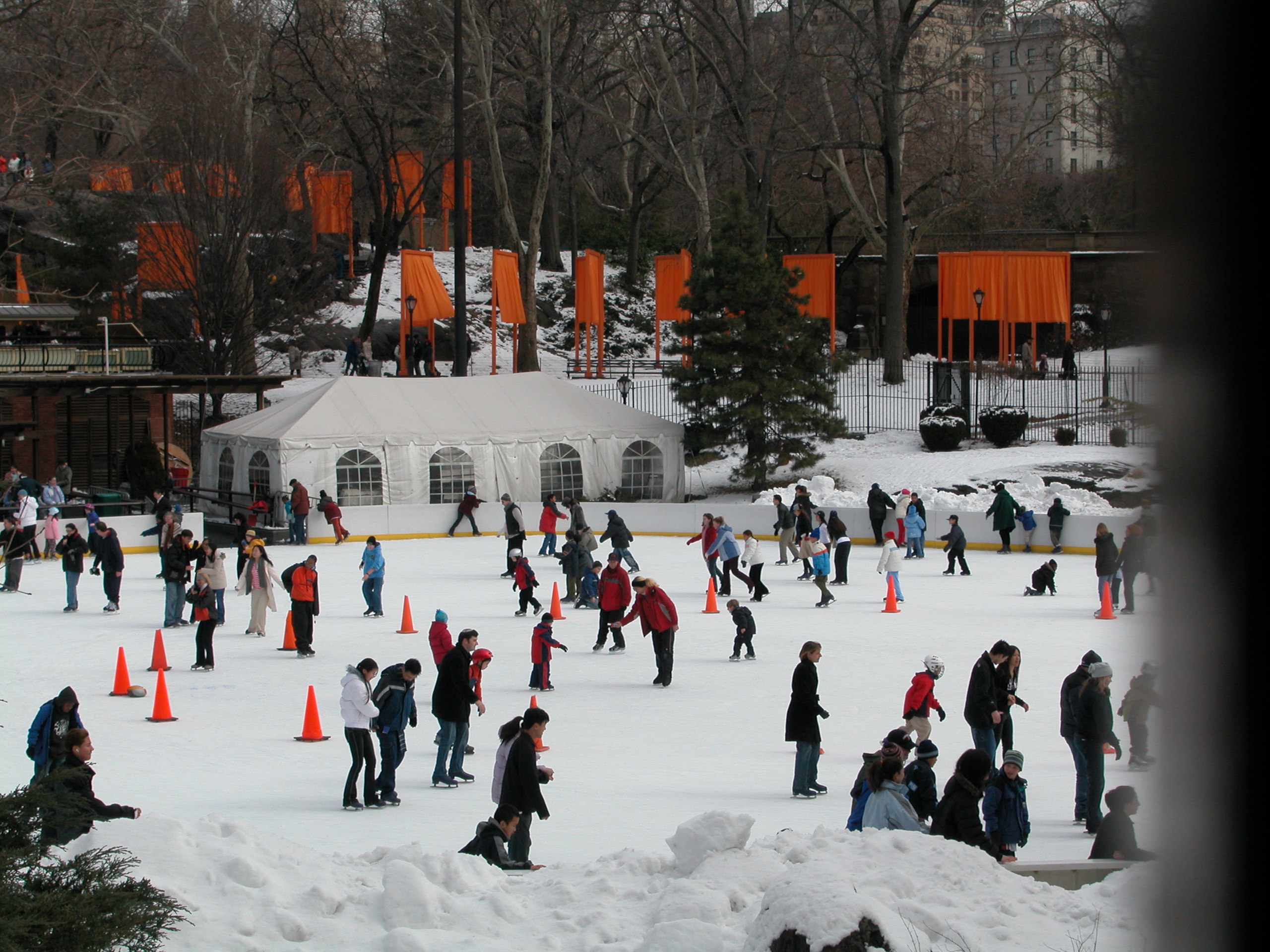 The Gates - Central Park 02-2005 040