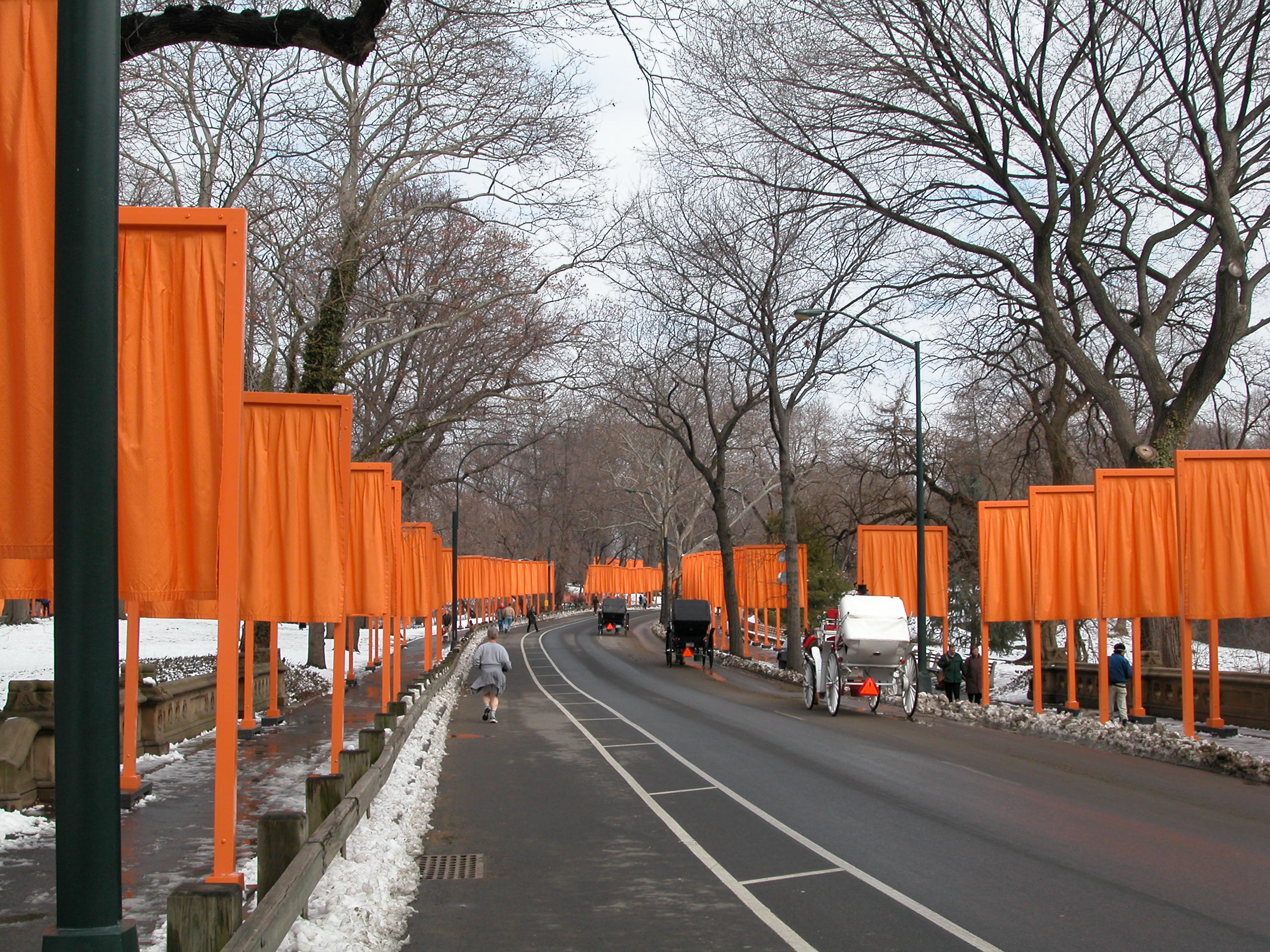 The Gates - Central Park 02-2005 050