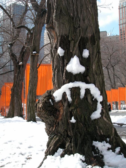 The Gates - Central Park 02-2005 085