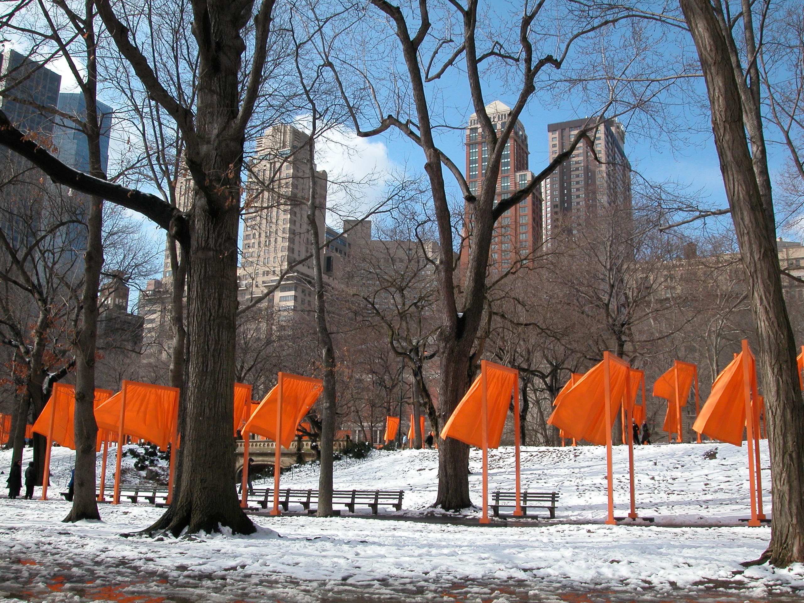 The Gates - Central Park 02-2005 086