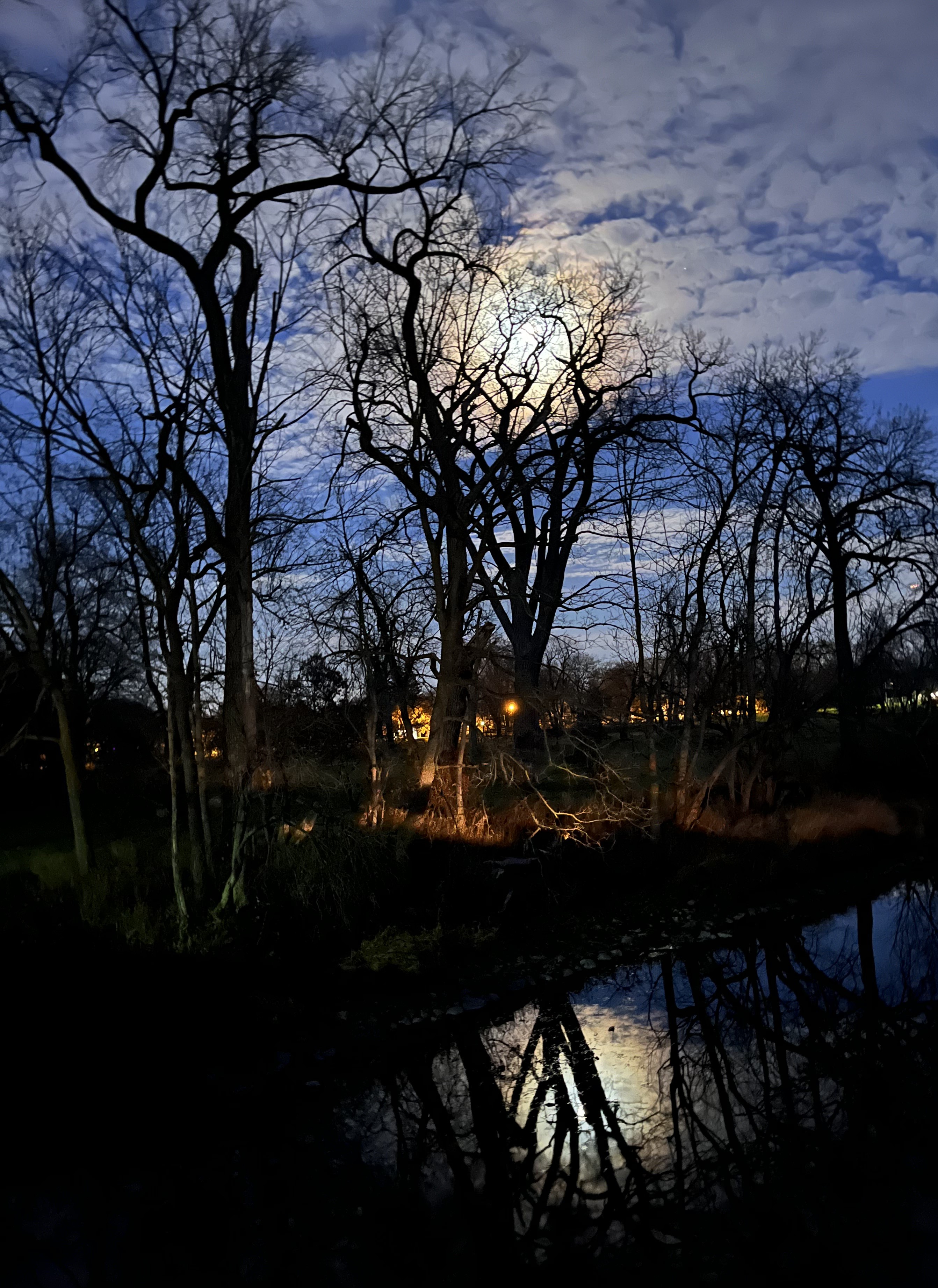 IMG_4219A moon reflection in Caz P