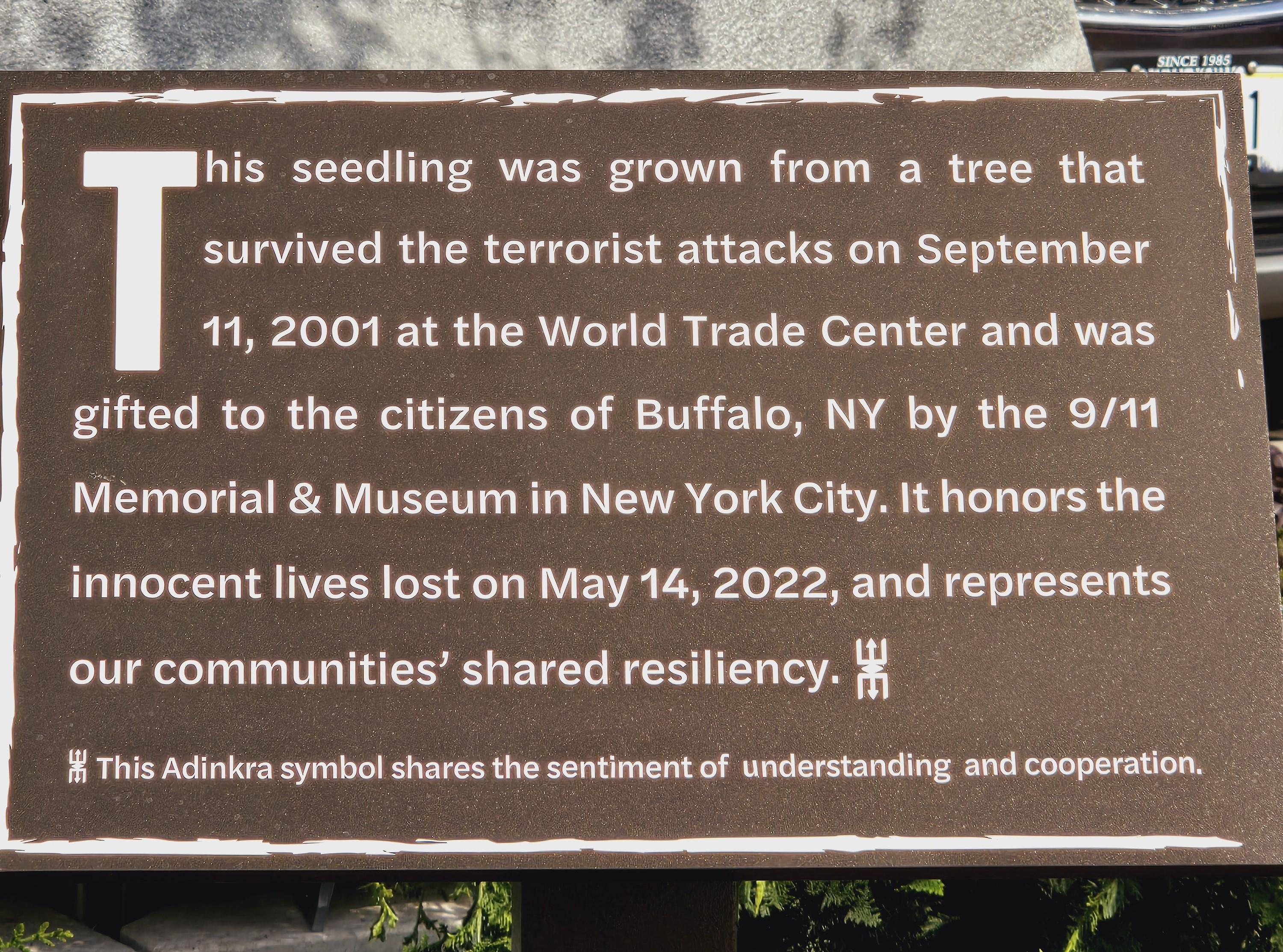 20240514_165602A WTC seedling sign